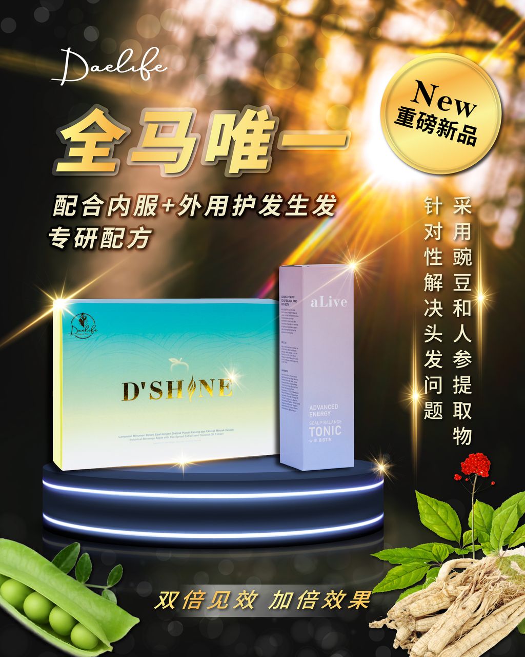 Dshine x aLive_poster02-01