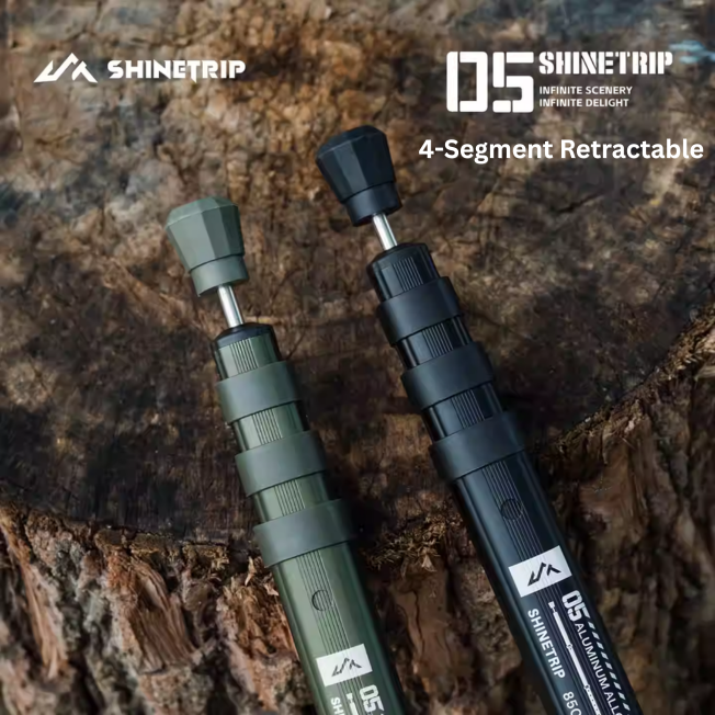 Wellhike Springhill Alocs (14)