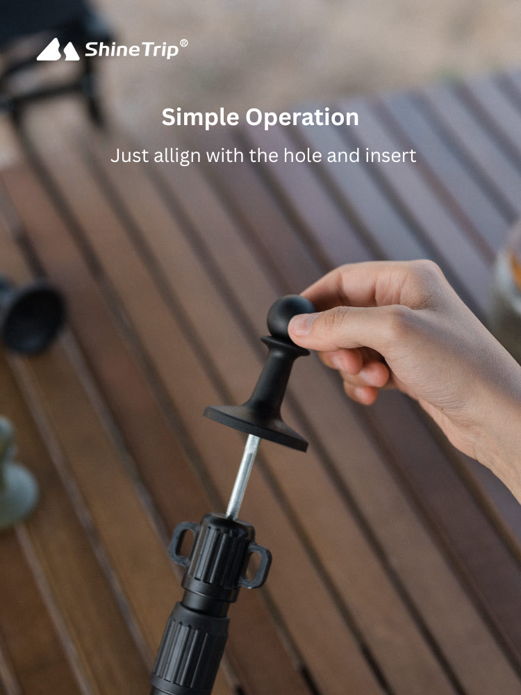 Your paragraph text (16)