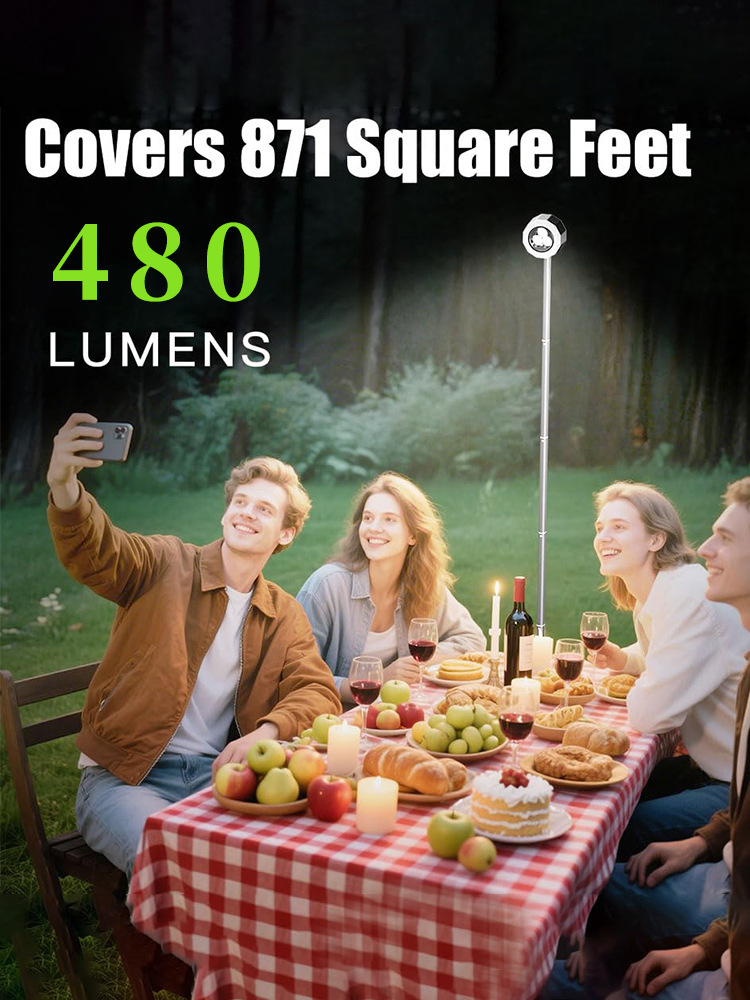 O1CN01FCUJmZ1cRTjw2gdbZ_22133589