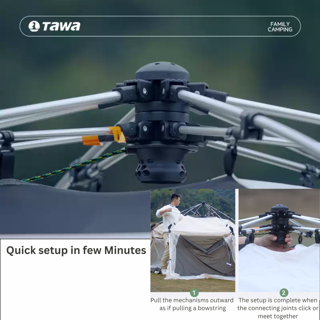 Your paragraph text (29)