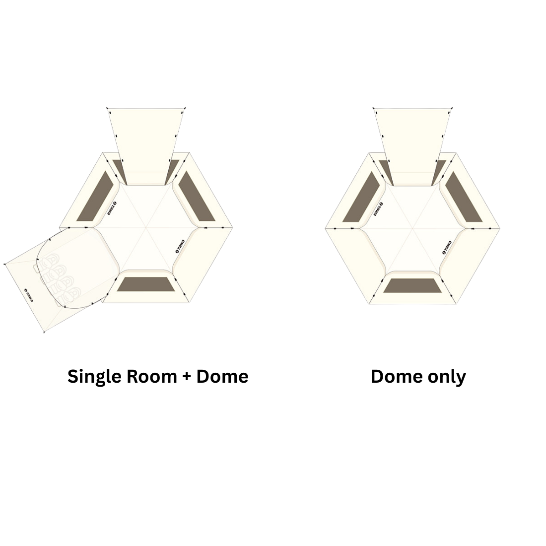 Your paragraph text (31)