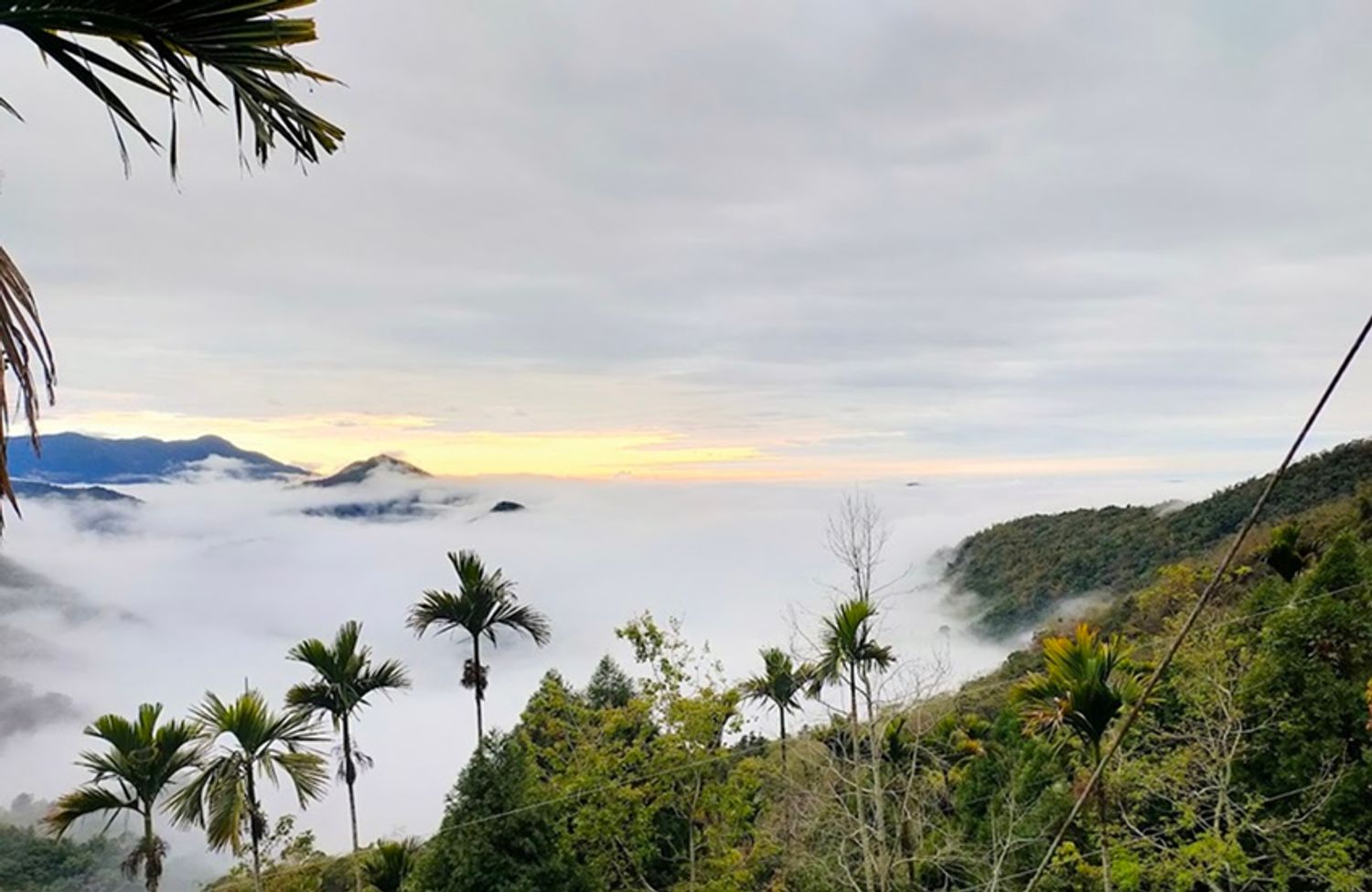 華興山茶 官方網站 - Natural Environment