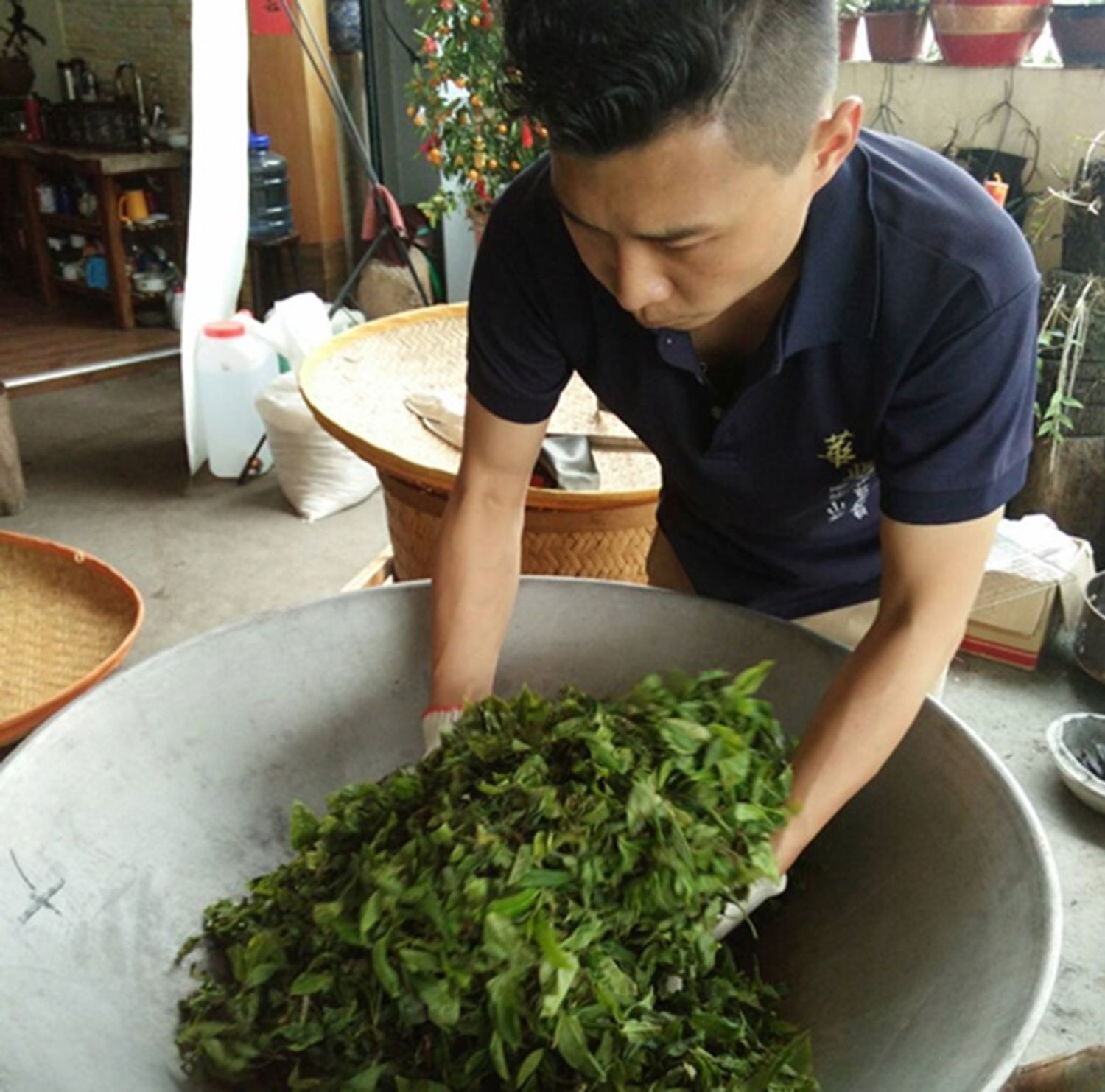 華興山茶 官方網站 - Traditional Handmade Tea