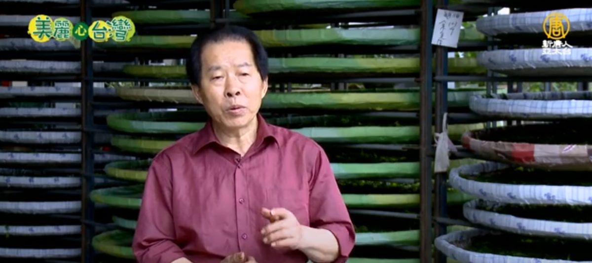 美麗新台灣-華興山茶的方針及理念