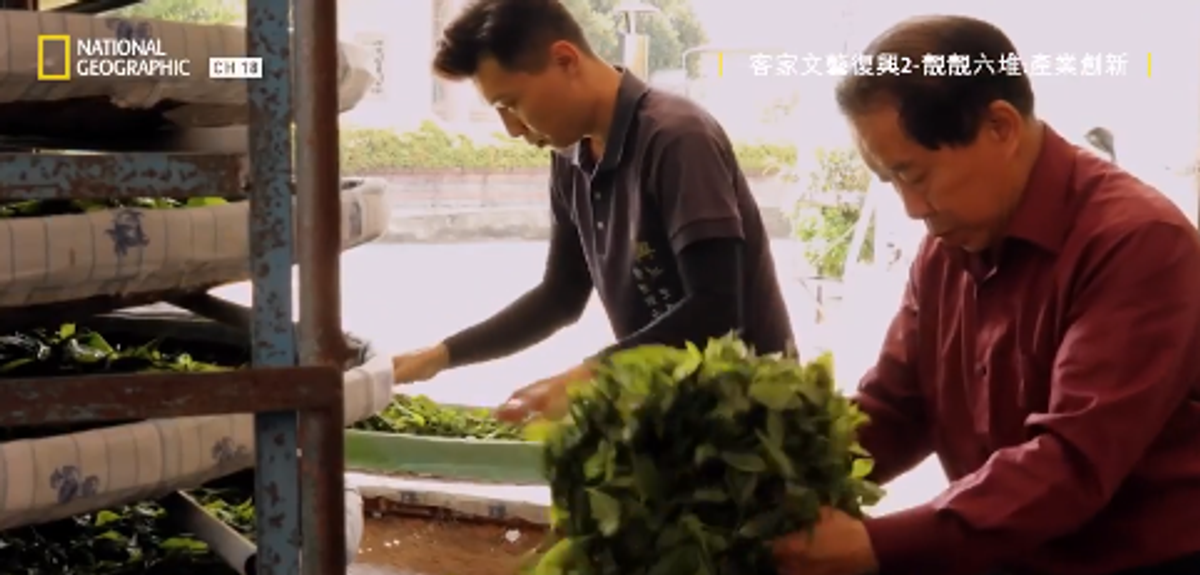 國家地理頻道-新興產業華興山茶