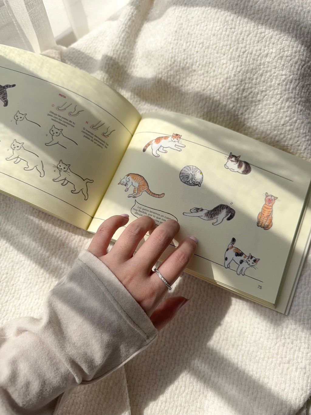 image_78EAF80C-B7E1-4955-A59C-70FF6BDF16D0_1773310110