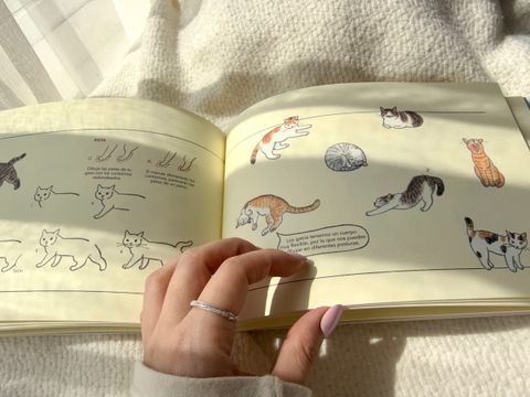 image_735BC682-561C-4A0A-9EA4-70582319E26C_1773310110