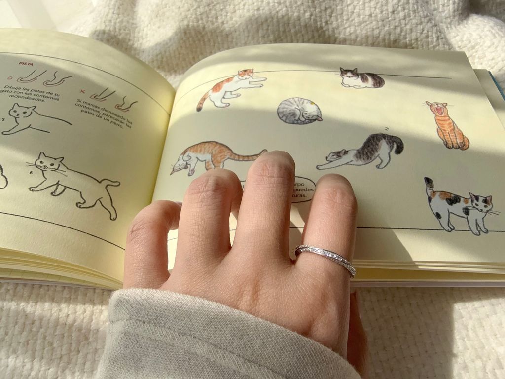 image_35E146B6-6A47-4874-998B-7E6BFBE7CA5F_1773310110