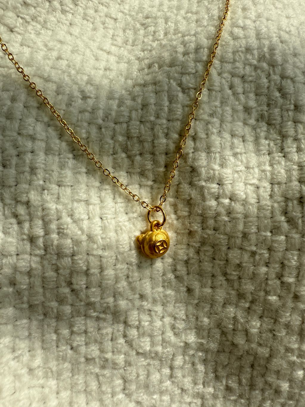 image_554E2DA7-BC64-4753-8A27-286E01C156A1_1774880415