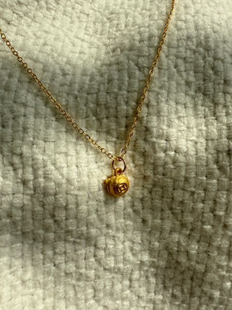 image_554E2DA7-BC64-4753-8A27-286E01C156A1_1774880415