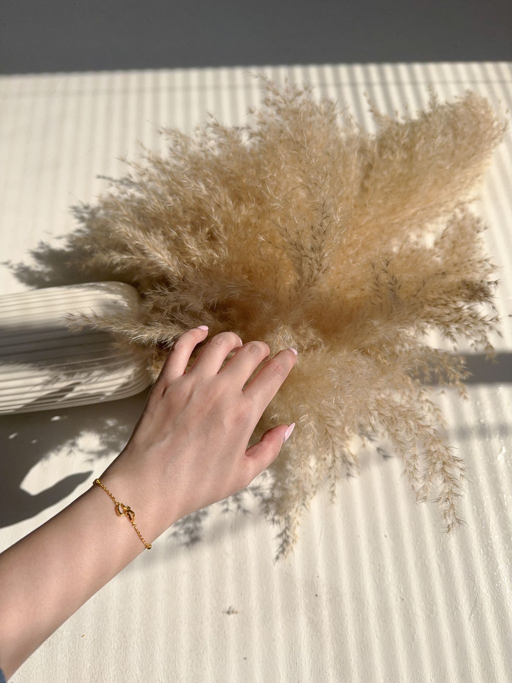 image_F06D2B31-1DD4-4993-B277-77FC5CCB0882_1774882261