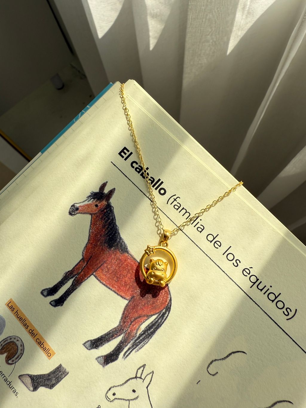 image_315C61C0-B71C-4AA3-BAFF-C3A13334DE24_1774882612