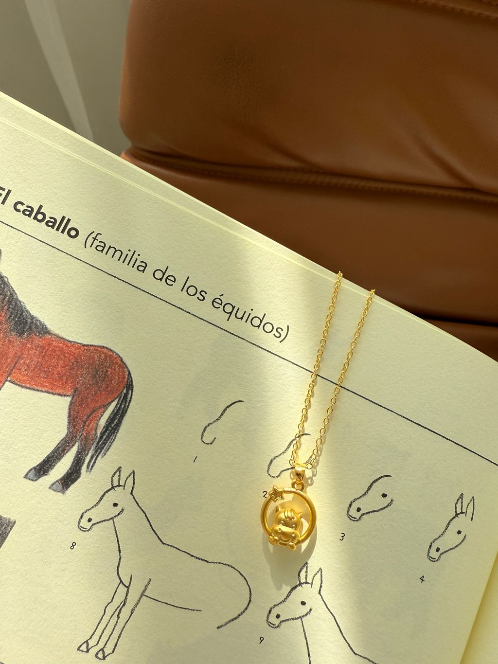 image_25F60EC3-7658-48E5-A249-AA3E4B5180CE_1774882612