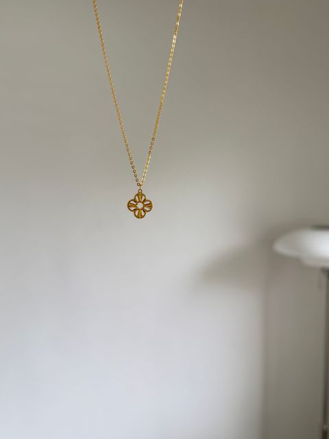 image_12989AD9-E3AB-4D74-9604-471739B4A2E6_1776145677