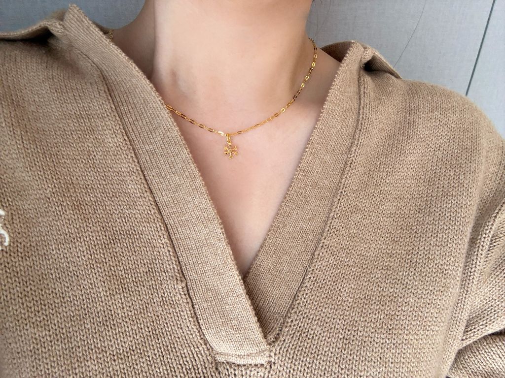 IMG_6588-1732350635117