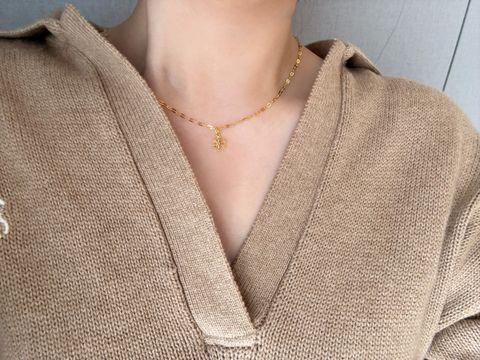 IMG_6588-1732350635117