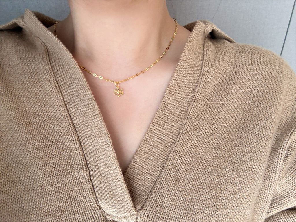 IMG_6589-1732350635123