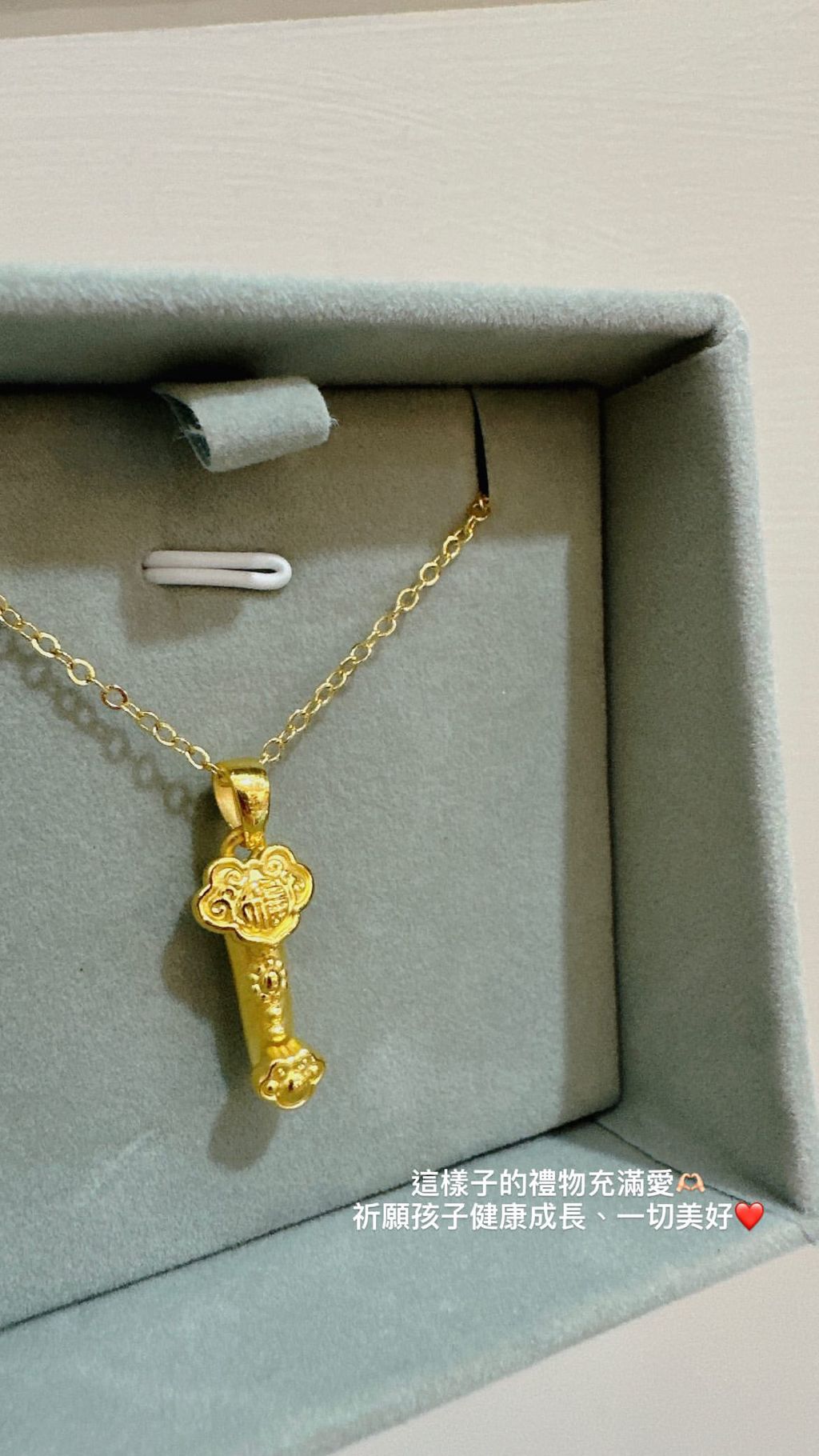 9B4ED6F6-6AAA-4C15-835C-D685B9589E2A-1737098398507