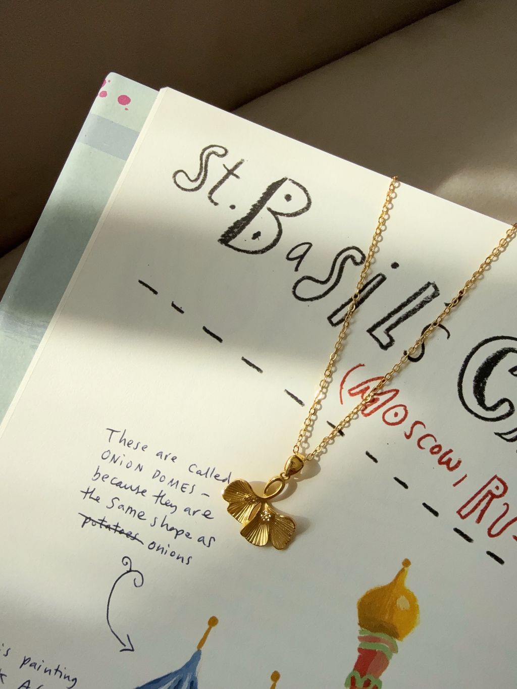 IMG_8668-1740460295547