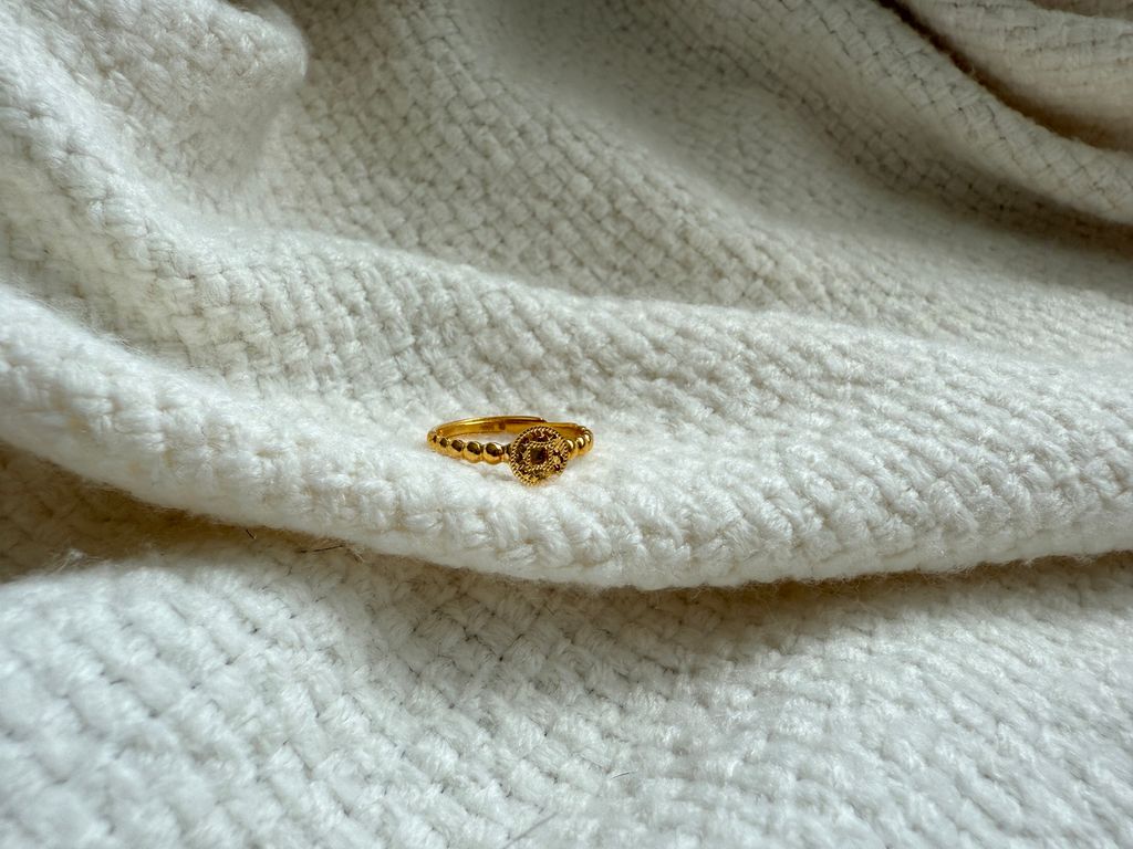 image_4C680523-9F1F-4B18-84B7-EFA33D0E5552_1750237227