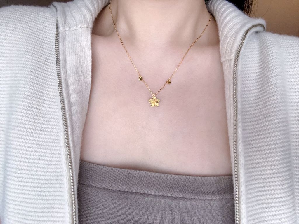 image_D8F9E847-E156-4950-A373-464F9267522A_1759207697