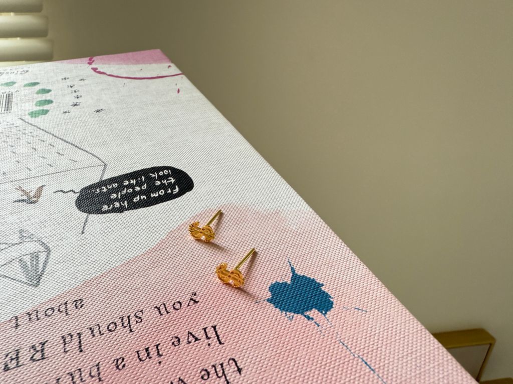 image_3E409AF3-0541-4AC0-AAD8-4519B7F33F0A_1759560061