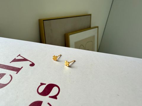 image_03650C30-08C7-4D90-9B3F-F05921221B36_1759560515