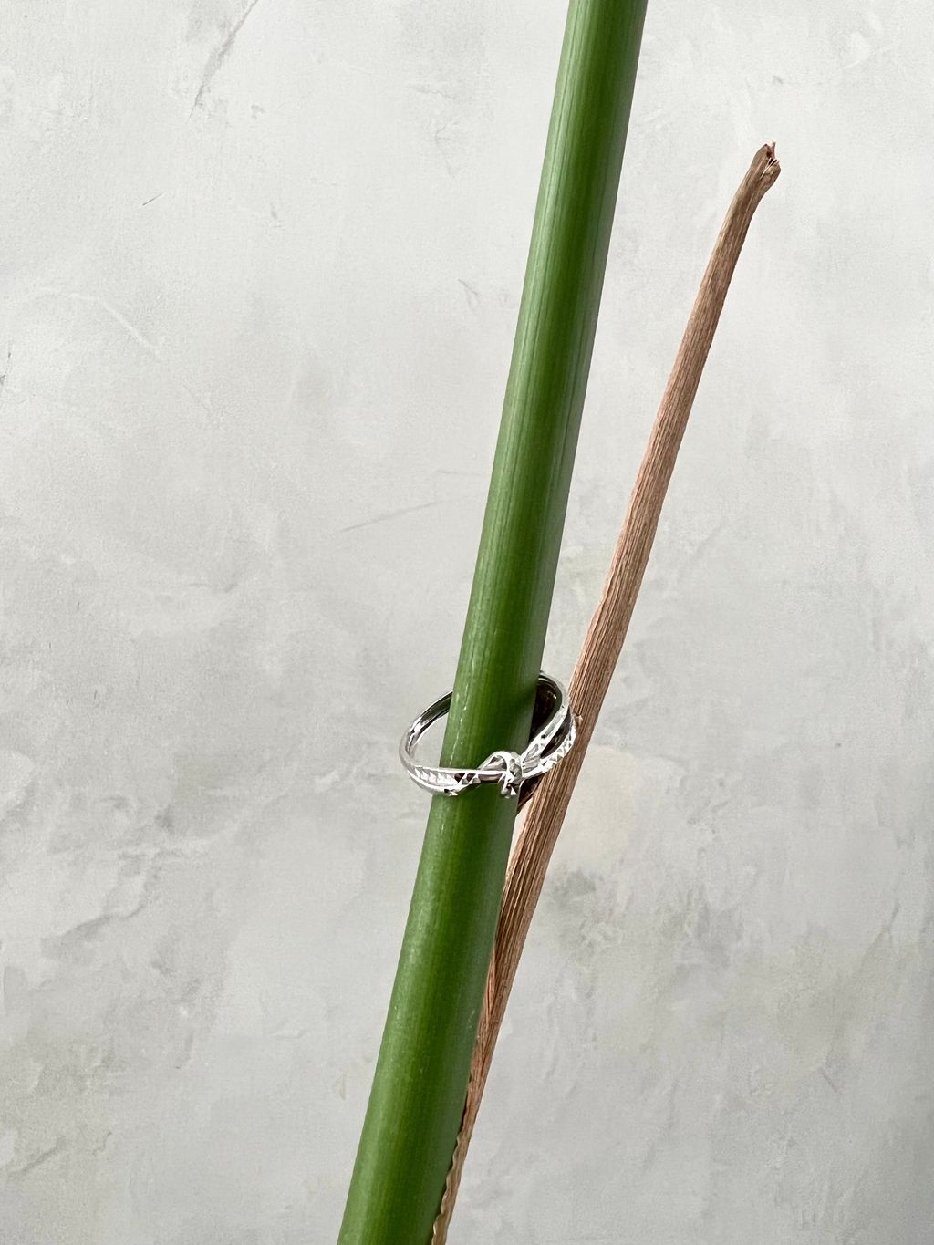 image_4614FD60-82EF-4338-8A94-9DEE8C6F7C81_1761883403