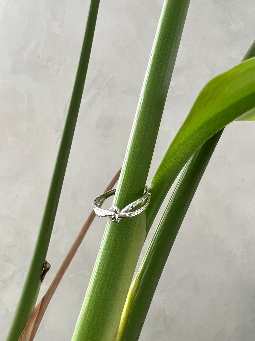 image_84A6B181-3BAC-49A9-AF74-28674A73F37D_1761883403