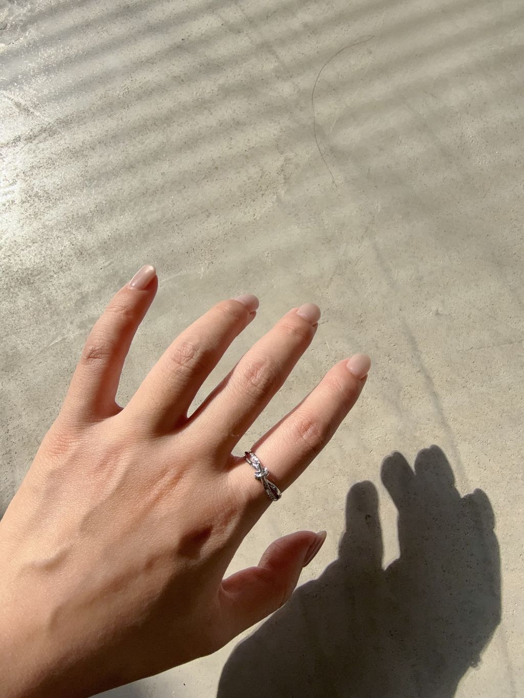 image_EF47D478-6FC0-4DD2-9125-25C928426840_1762827344