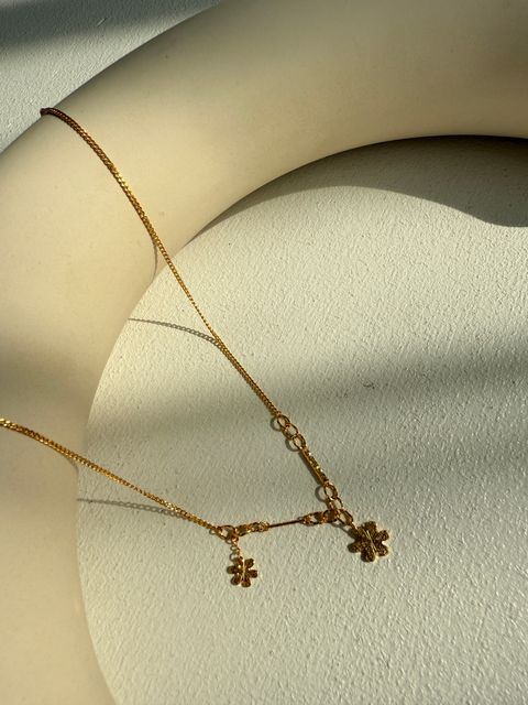 image_E778CC33-67F2-4551-95F7-23BA046BF9E1_1762849256