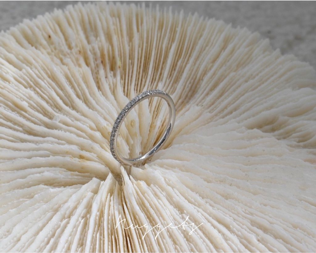 image_AF8039FE-1F71-4747-A948-A9B136F83107_1762936301