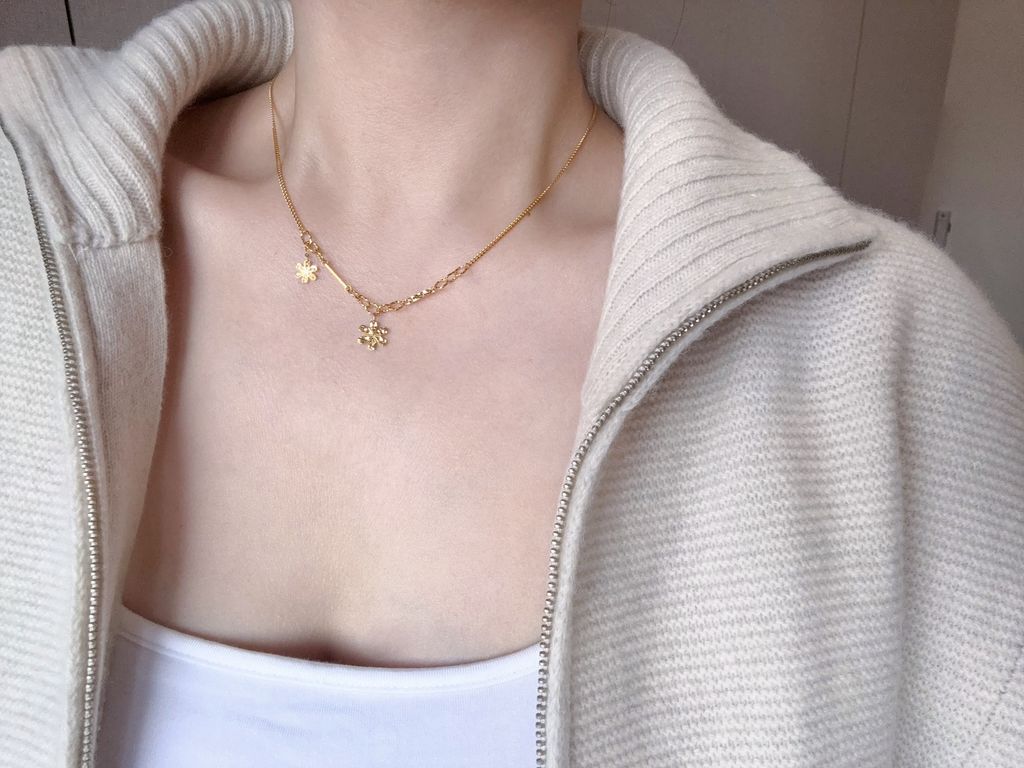 image_853F1977-9F25-4A8D-8EAC-F8183387F255_1763196241