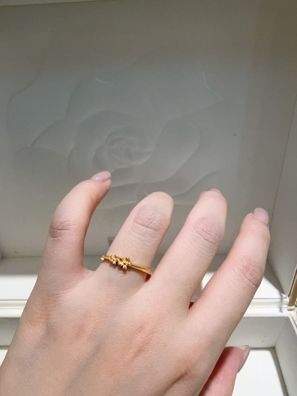 image_1E65C8A3-F9A1-4DAB-88F8-0B83E305EB16_1763965256