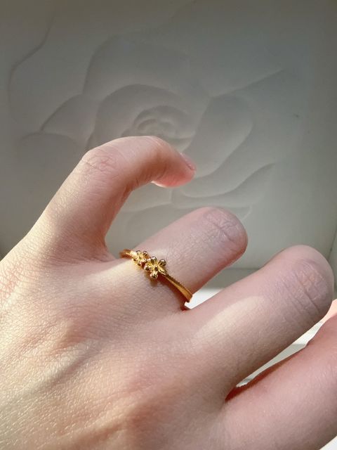 image_5C6D9EE2-72E4-42AE-9F5A-720B1AA2D66B_1763965256