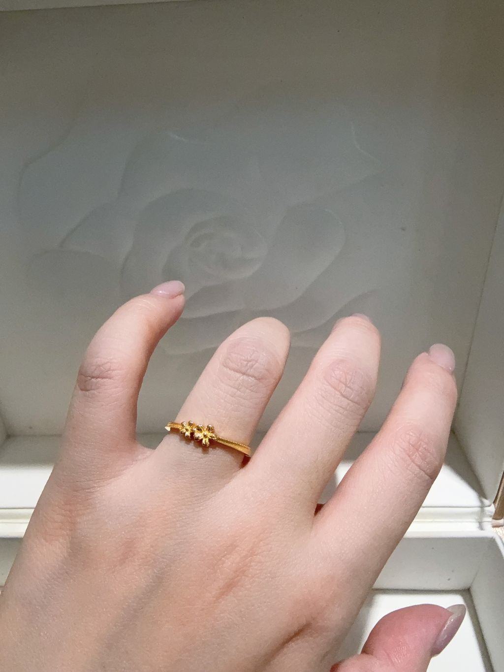 image_B0E380CB-2742-4B0B-AC94-4D46E141765C_1763965256