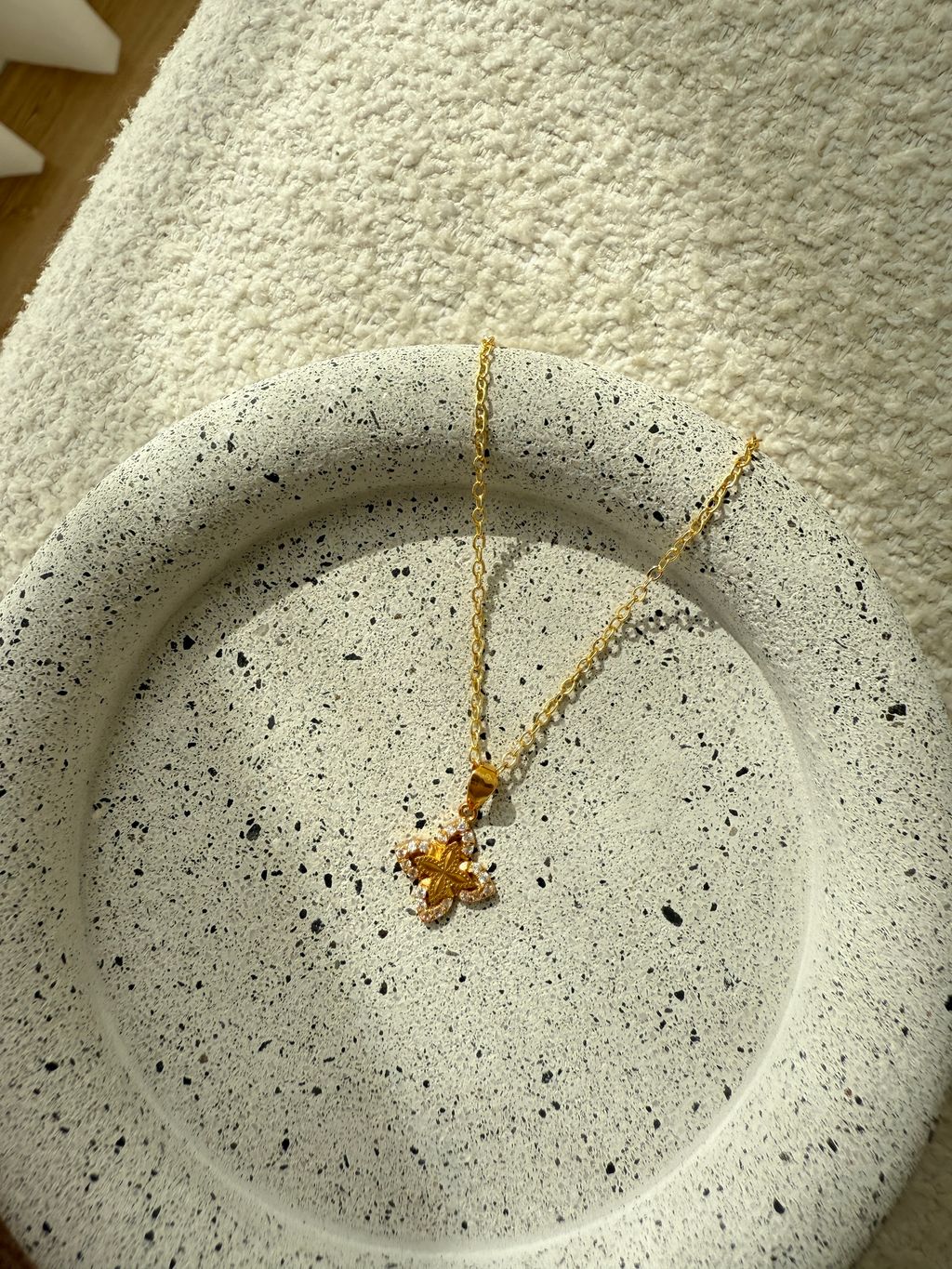 image_761638F5-87A9-4987-8B4B-B025A2DE2F60_1765250995