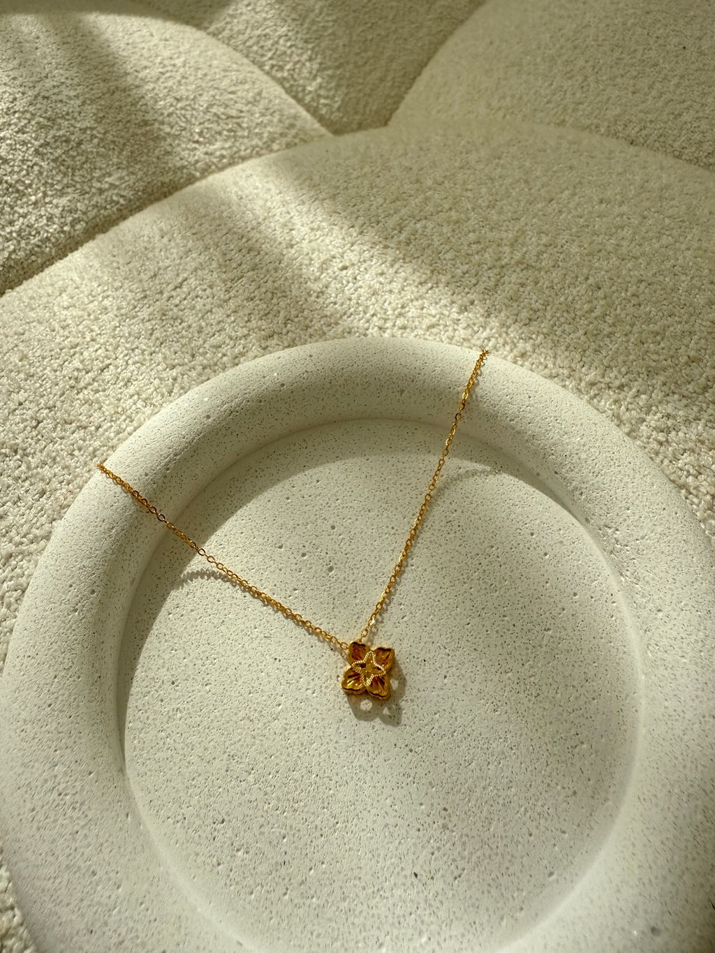 image_29D76473-F724-4EA8-A5B9-DD6DAEA66351_1765269580