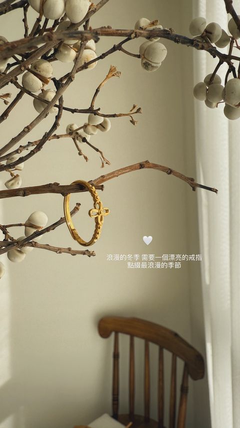 image_ABB1812B-2E5C-4E60-A355-68E076417C70_1765284487