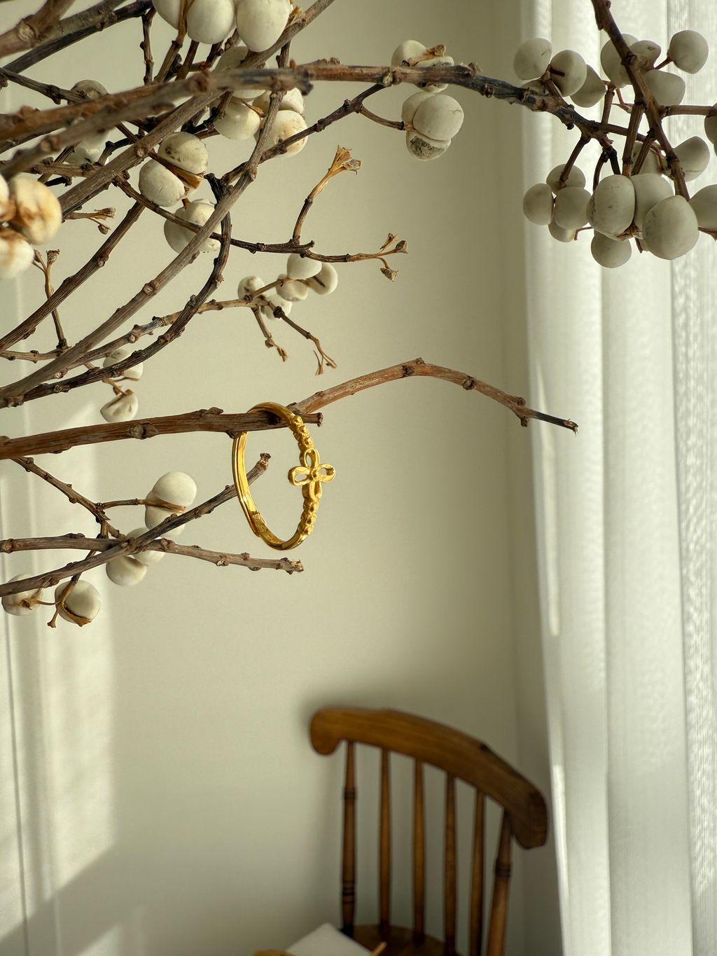 image_B90E2EE7-CF05-4315-860F-C5546F4C72A9_1765284487