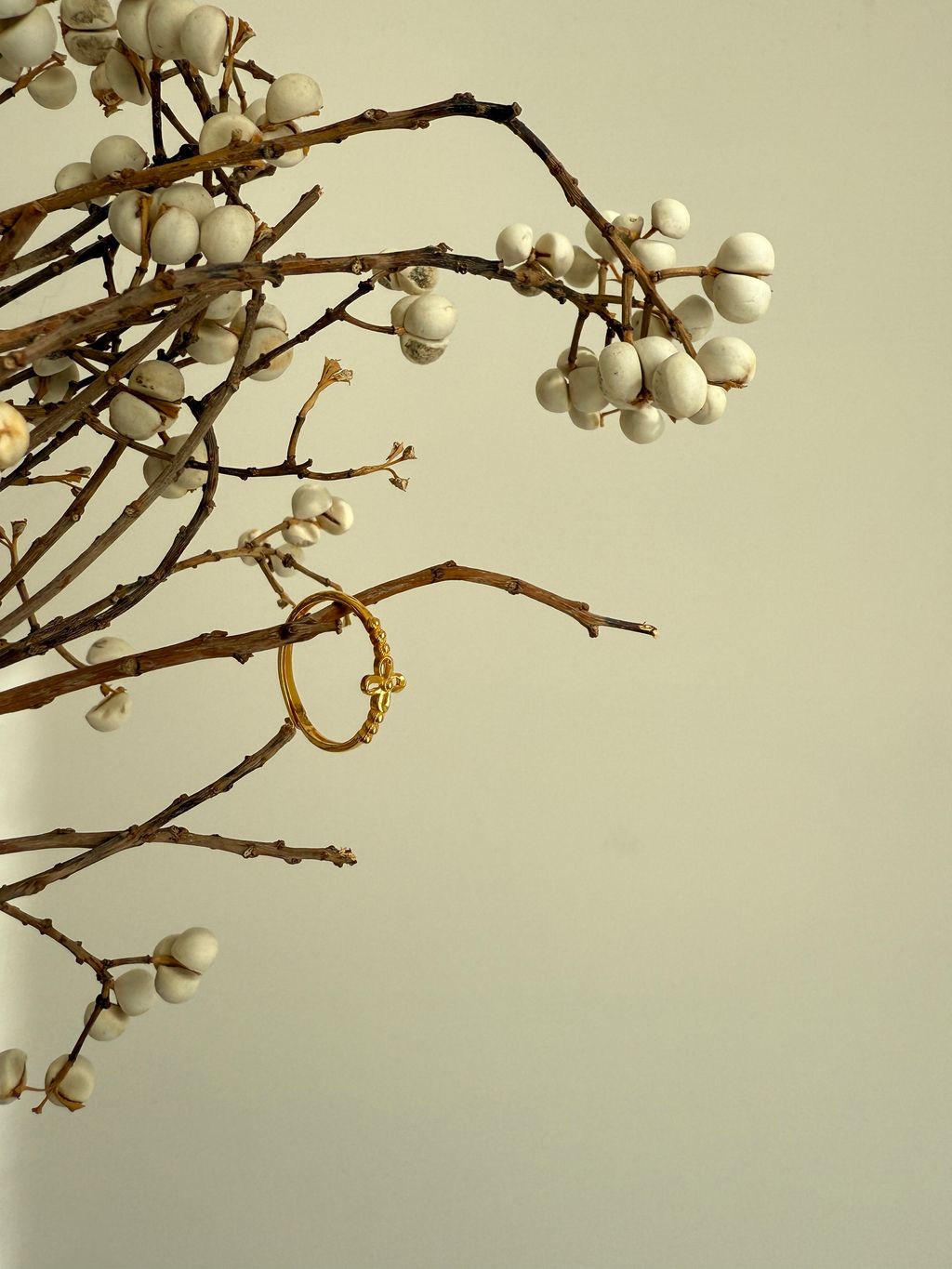 image_36571C96-6612-4D60-A53B-1D965D148A6E_1765284487