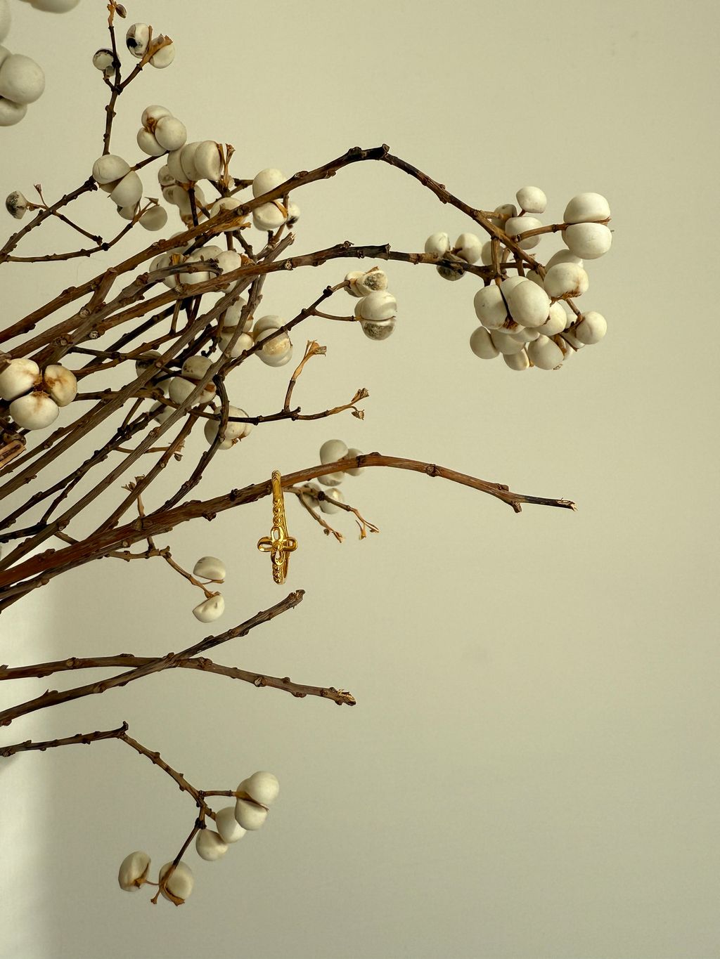 image_110AC25F-B47F-4300-BA30-A6C6D16387DD_1765284487