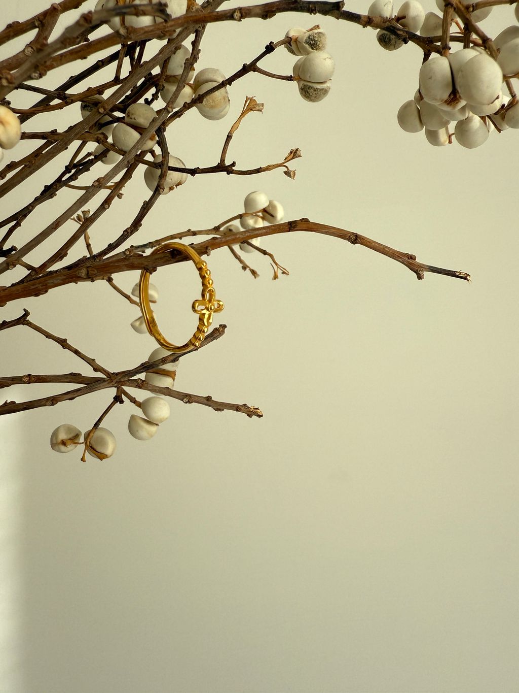 image_0D36DB20-1585-4B54-B1F2-D5E4EC9FEDBF_1765284487