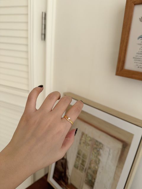 image_9B9F3198-0E32-46DB-9D6D-ECF88D3533C2_1765284662