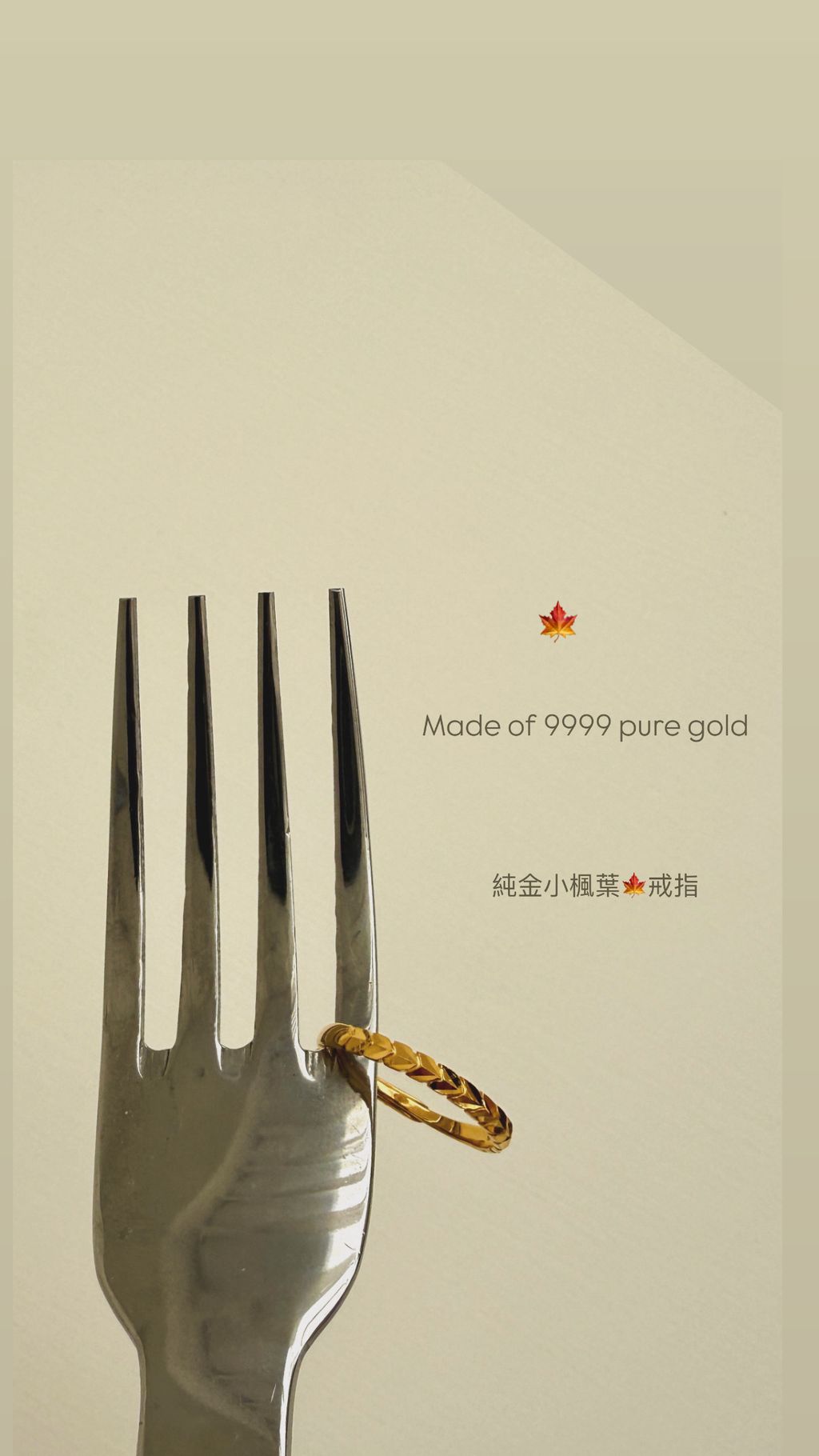 image_076A1DB6-AC7B-4502-B276-16A2A33B8BF5_1765284834