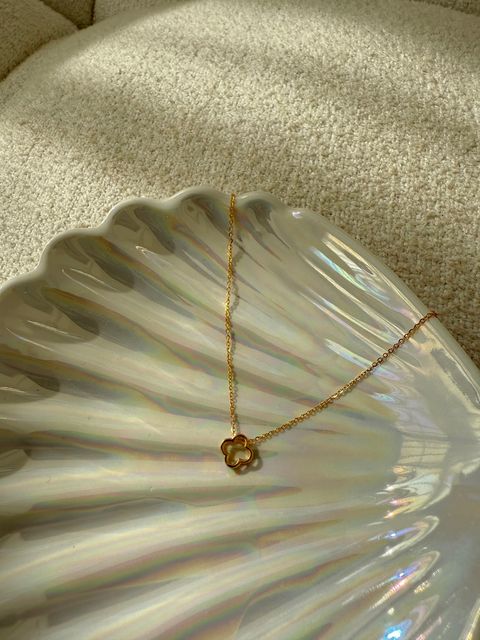 image_1985EBBB-3145-4545-9931-3A33916BBA61_1765341472