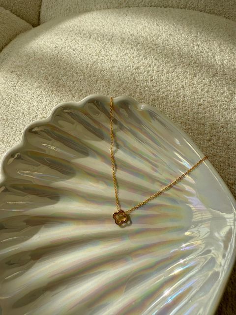 image_5721C5E2-B020-457F-AE8A-F409A23A3ACF_1765341472