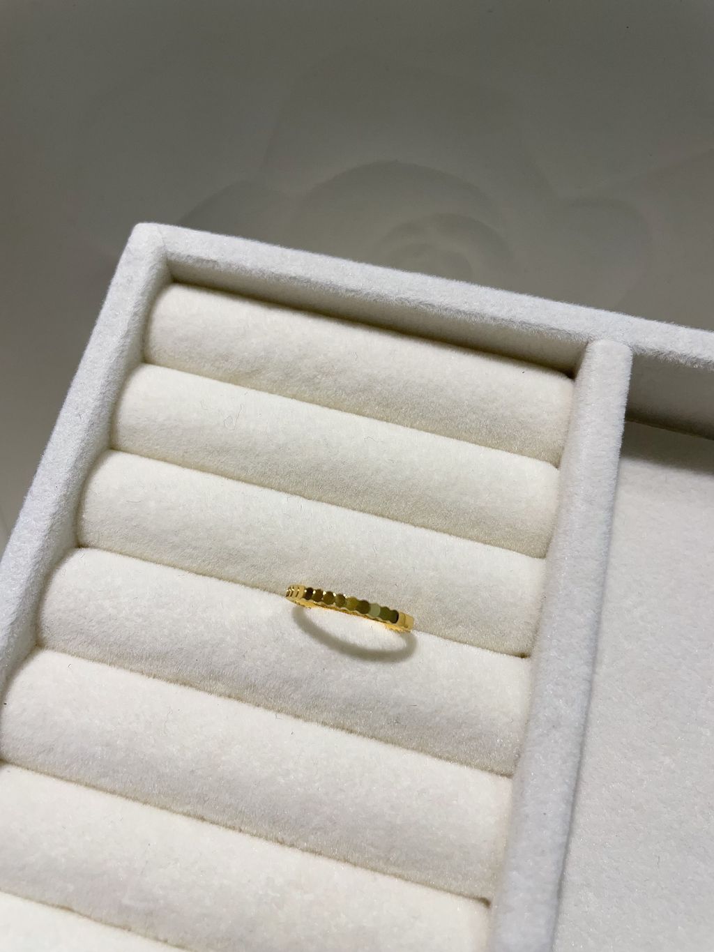 image_12132217-0B19-4F8B-9822-74F67D37DF3E_1767074327