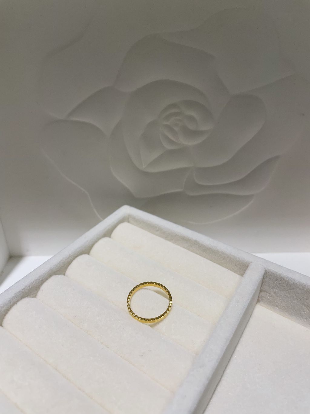 image_6B4F5ABD-AA76-4DF0-B5FB-1B7E21AEEF99_1767074327